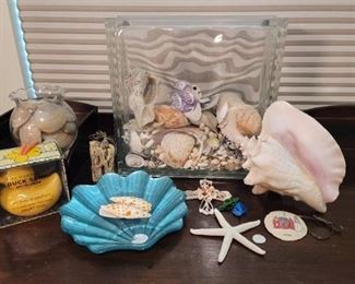 Seashell Decor