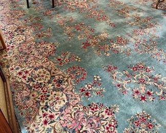 9 1/2' by 19 1/2' Oriental Carpet