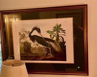 $200 - Large Audubon Plate - Louisiana Heron  