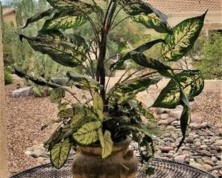 Southwest pottery floral