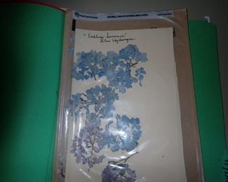 HUNDRED'S OF PRESSED FLOWERS LABELED AS TO WHAT THEY ARE.