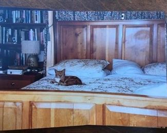 The cat stayed in England