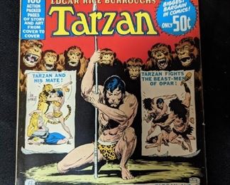 DC Comics 100 Page Tarzan