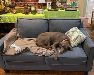 couch--  dog not included!