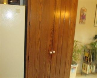 Fantastic Custom Kitchen Storage Cabinet with Movable Shelves and Compartments