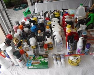 Cleaning / Paint / Bug  /  Things 