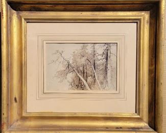 Herman Herzog 1 of 5