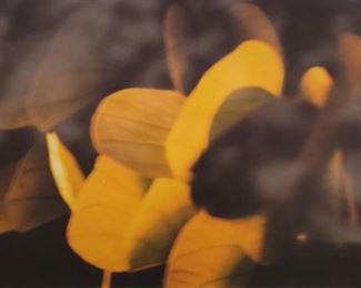 Martin Oppel Four Seasons Hotel Miami