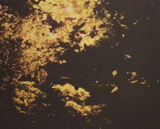 Martin Oppel Four Seasons Hotel Miami