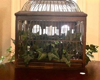 Greenery in bird cage