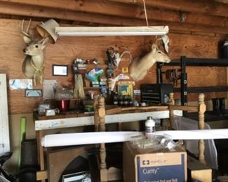 Deer heads, and misc.  not sorted 