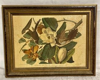 INV #132: Black billed cuckoo bird and flowers, H 13" x W 18"