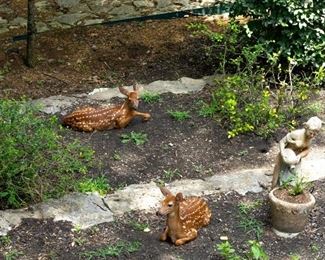 Working at the home, we get to experience these neighborhood deer relaxing in the back yard. They will run off with loud noises but otherwise come around quite often.