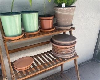 Misc Plants (prices vary)