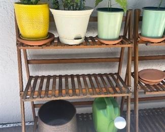 Misc Plants (prices vary)