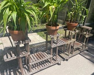 Misc Plants (prices vary)