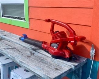 Electric lawn blower