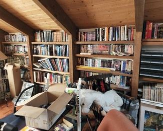 Books in the Large Loft office.