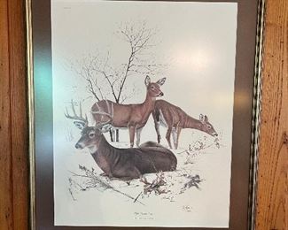 Signed Richard Timm "White Tailed Deer" print with overhead light