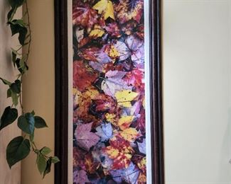 59" high x 29" wide