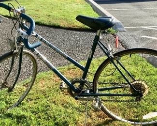 JEME749 Western Flyer Womens 10 Speed Bike
