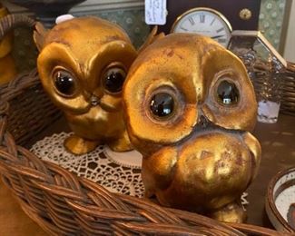 Baby owls in a basket