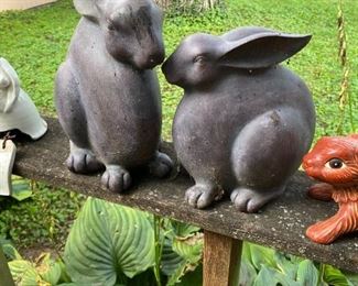 Outdoor bunnies.