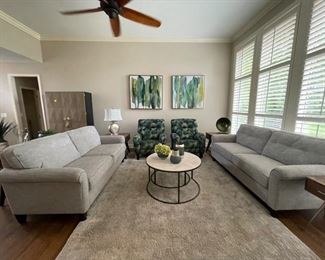 Rug - Orion Zion - very nice $450