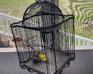 Bird Cage