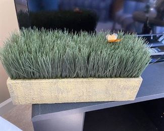 Decorative Grass