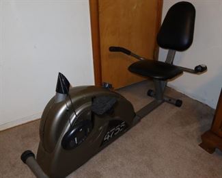 Stimina Exercise Bike