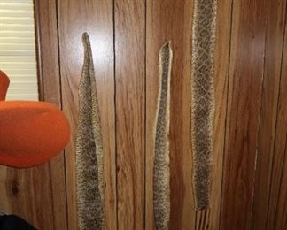 3 Rattlesnake Skins