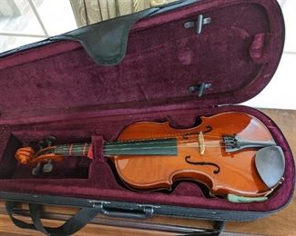 Violin