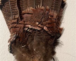turkey feathers