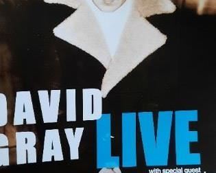 David Gray concert posters