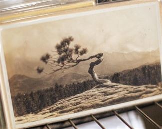 This postcard set features US Southwest landscapes. Most are in standard frame sizes - ready to be added to any decor.