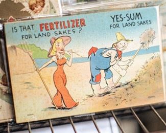 This postcard set features vintage "funnies." Some are actually funny. Some are more of a history lesson. Most postcards are in standard frame sizes - ready to be added to any decor. 