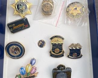 Sheriffs pins 