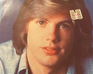 Shaun Cassidy