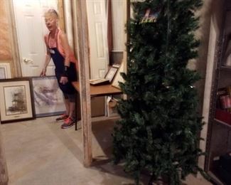 Lighted Christmas tree