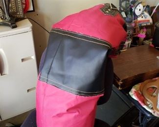 Punching bag and gloves