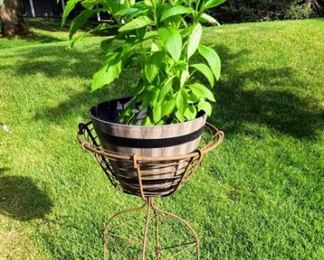Decorative Pots