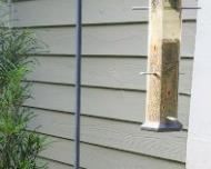 Bird feeder