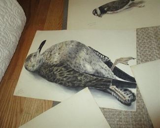 Example of one of the birds from the 16