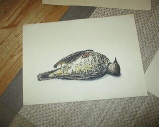 Example of one of the birds from the 16