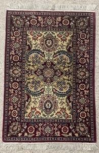 Petite Accent Rug measuring 25x37 inches. Gorgeous!