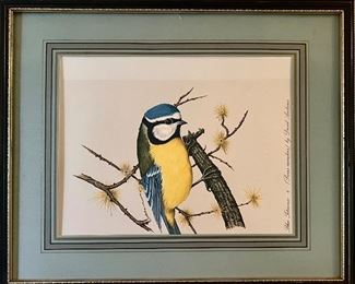 Litho: Blue Titmouse by David Andrews