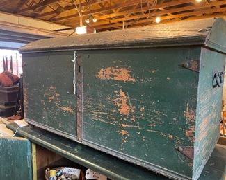 Beautiful Green trunk 