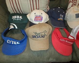 Assorted Men's Caps/Hats
