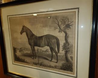 Horse Themed Artwork